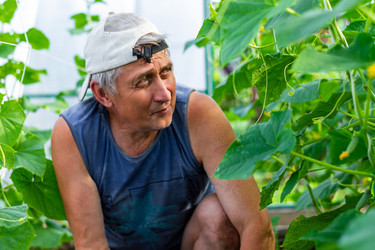 Similar image 20999992