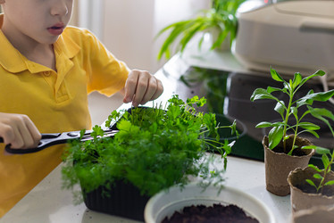 Similar image 20999993