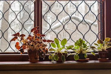 Similar image 21001849