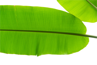 Similar image 21012415