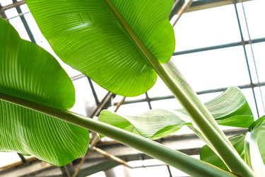 Similar image 21012419