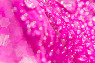 Similar image 21000827