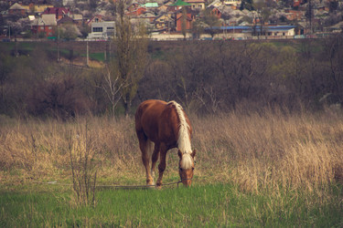 Similar image 20999845