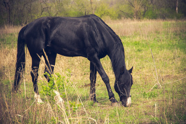 Similar image 20999846