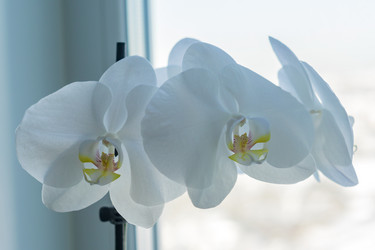 Similar image 21012439