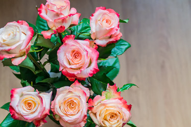 Similar image 21012441