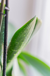 Similar image 21012443