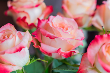 Similar image 21012453