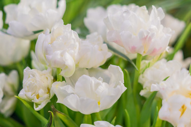 Similar image 21012456