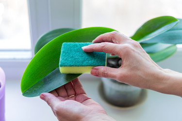 Similar image 21012459