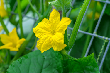 Similar image 21012460