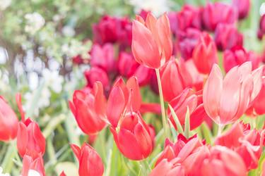 Similar image 21012462