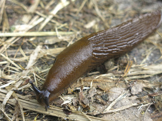 Similar image 20999884