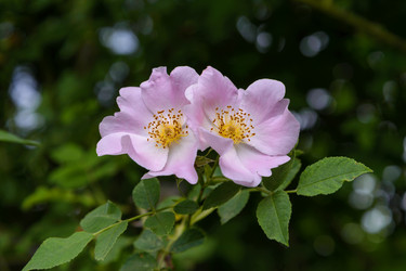 Similar image 20999900