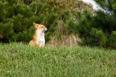 Similar image 21001443