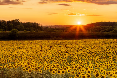 Similar image 21003521