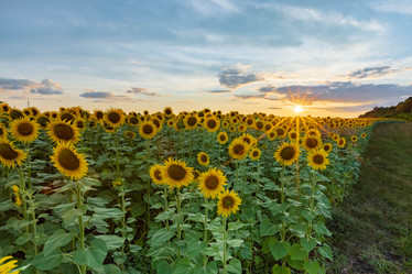 Similar image 21003522