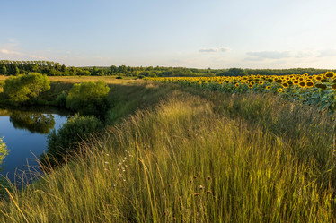 Similar image 21003524