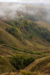 Similar image 21018399