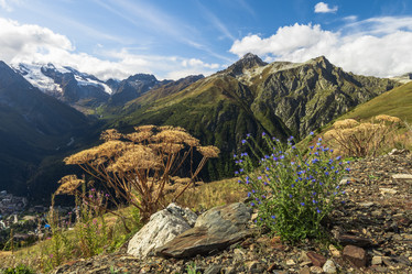 Similar image 21018405