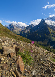 Similar image 21018407