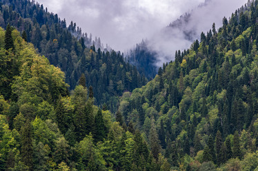 Similar image 21018417