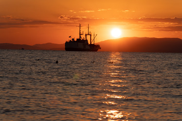 Similar image 21003526