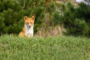 Similar image 21001445