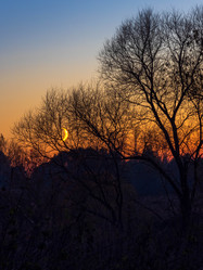 Similar image 21018525