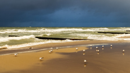 Similar image 21018526