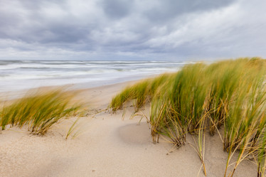 Similar image 21018528