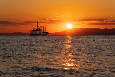 Similar image 21003528