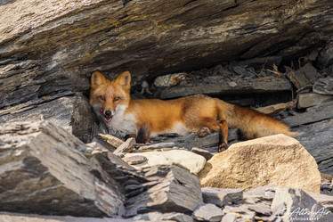 Similar image 21001446