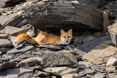 Similar image 21001425