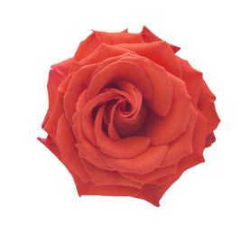 Similar image 21000809