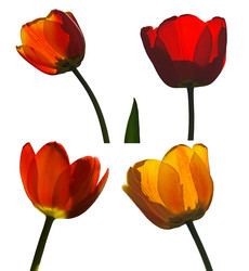 Similar image 21000810