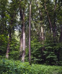 Similar image 21000811