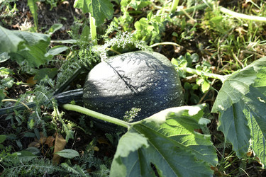 Similar image 21000845