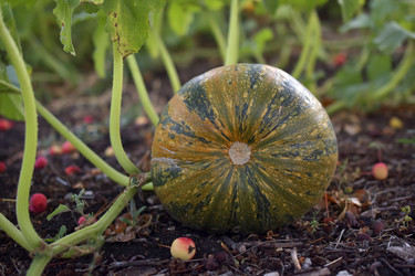 Similar image 21000846