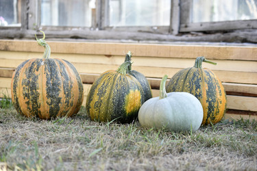 Similar image 21000850