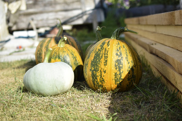 Similar image 21000853