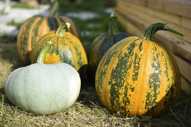 Similar image 21000854