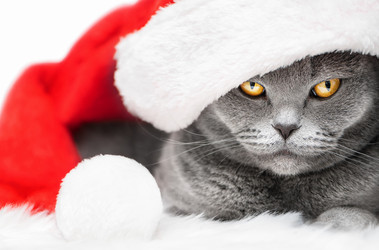 Similar image 21000817