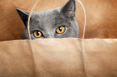 Similar image 21000818