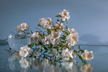 Similar image 21000857