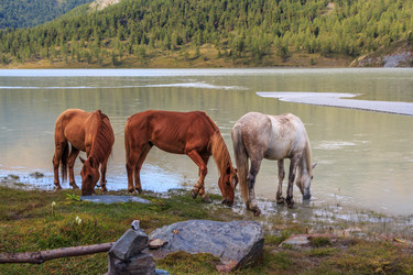 Similar image 21005110