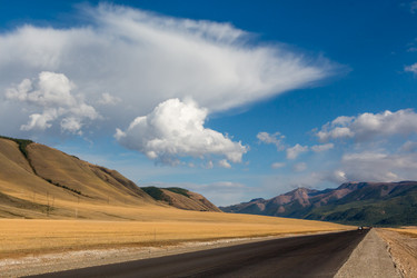 Similar image 21005116