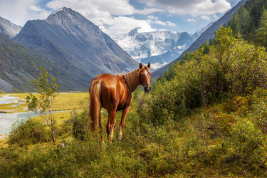 Similar image 21000867