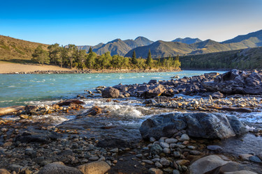 Similar image 21003088