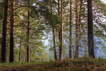 Similar image 21003091